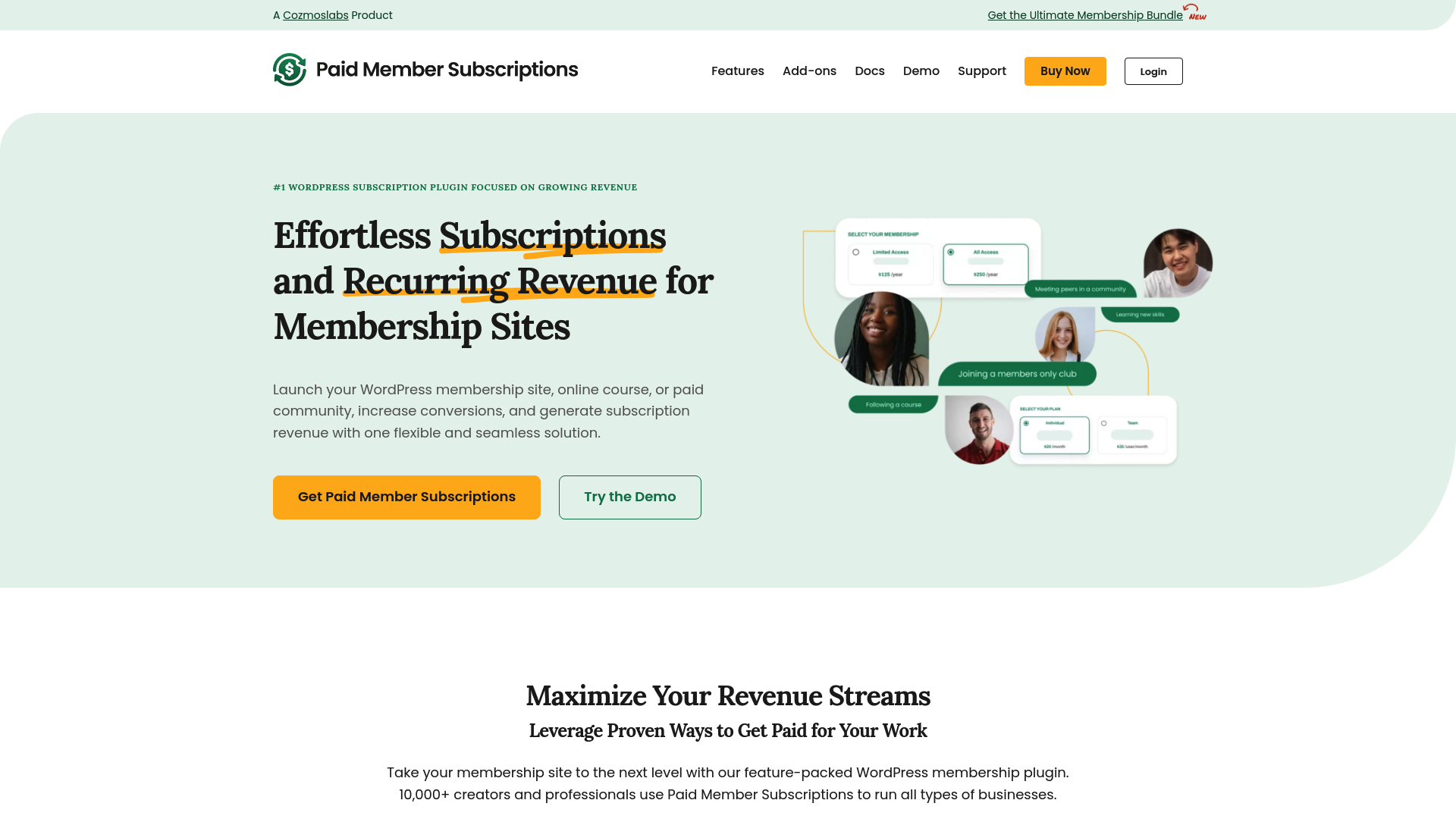 Paid Member Subscriptions